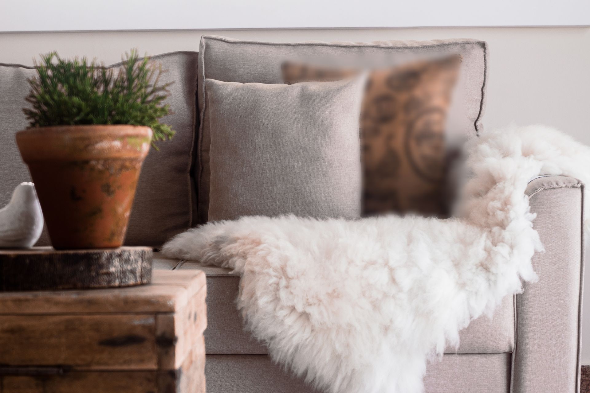 A soft beige sofa with a white sheepskin throw, beside a rustic wooden side table with a potted plant in a clay pot
